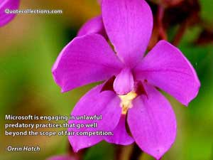 orrin_hatch_quotes Quotes 4